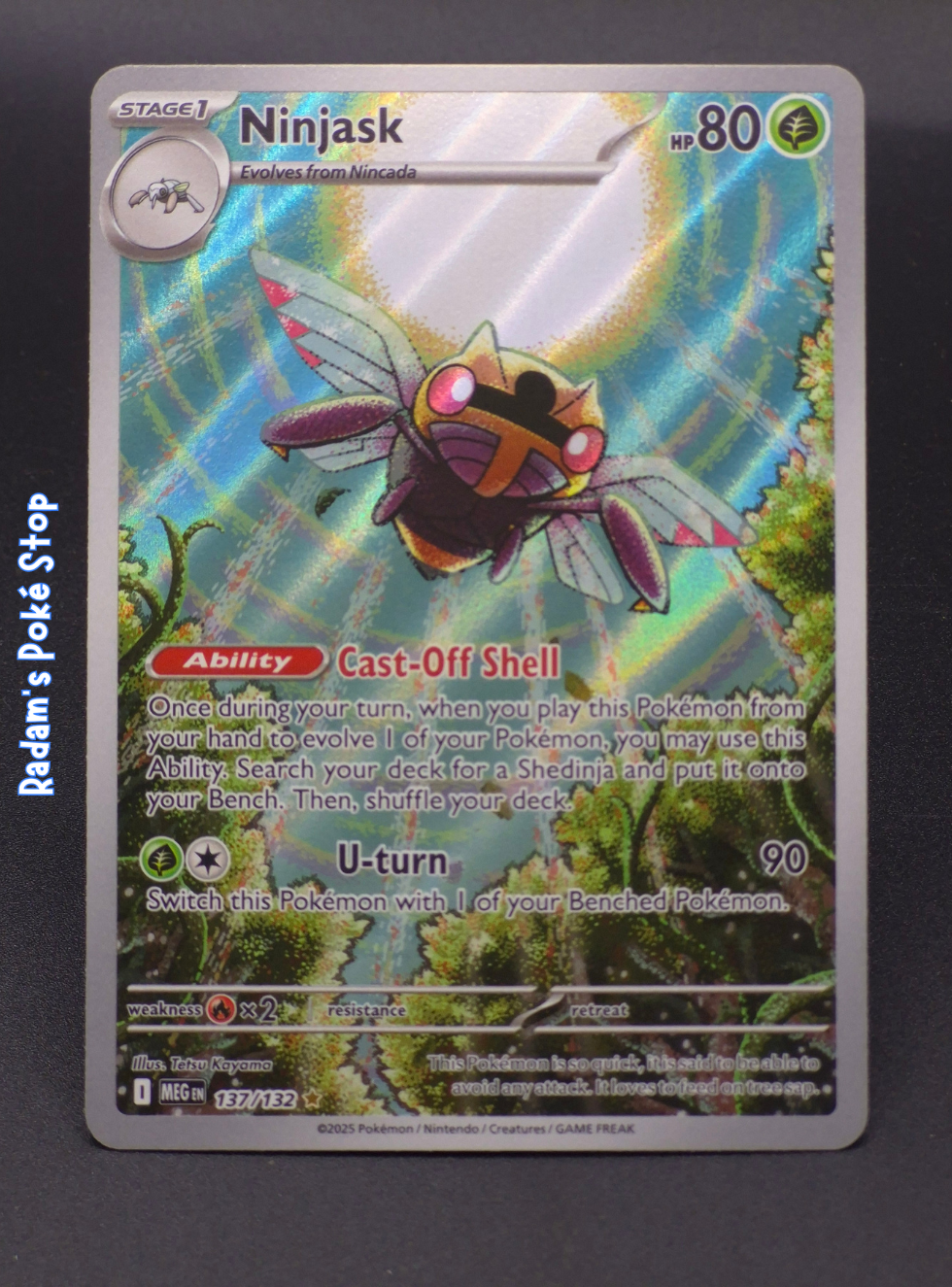 meg 137_132 ir ninjask.png