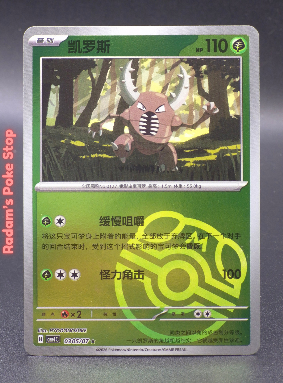 CBB4C 03 05_07 pinsir.png