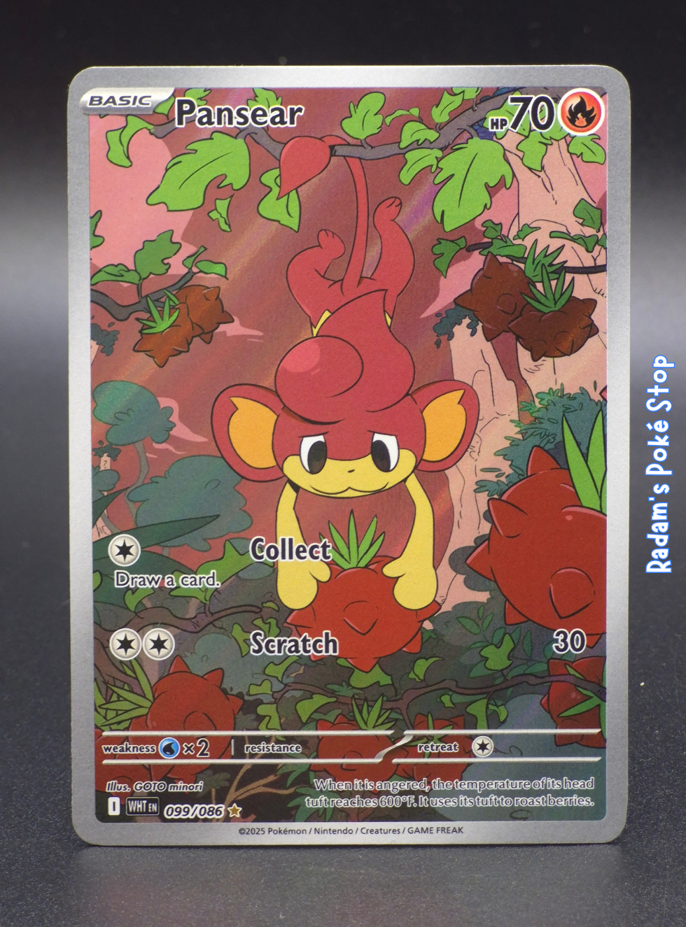 WHT 099_086 pansear.png