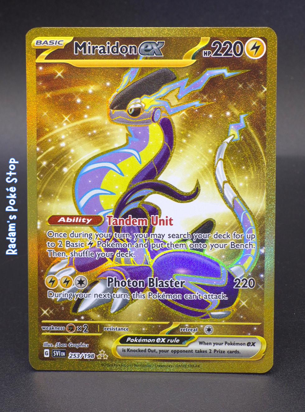 svi 253_198 hr miraidon ex.png
