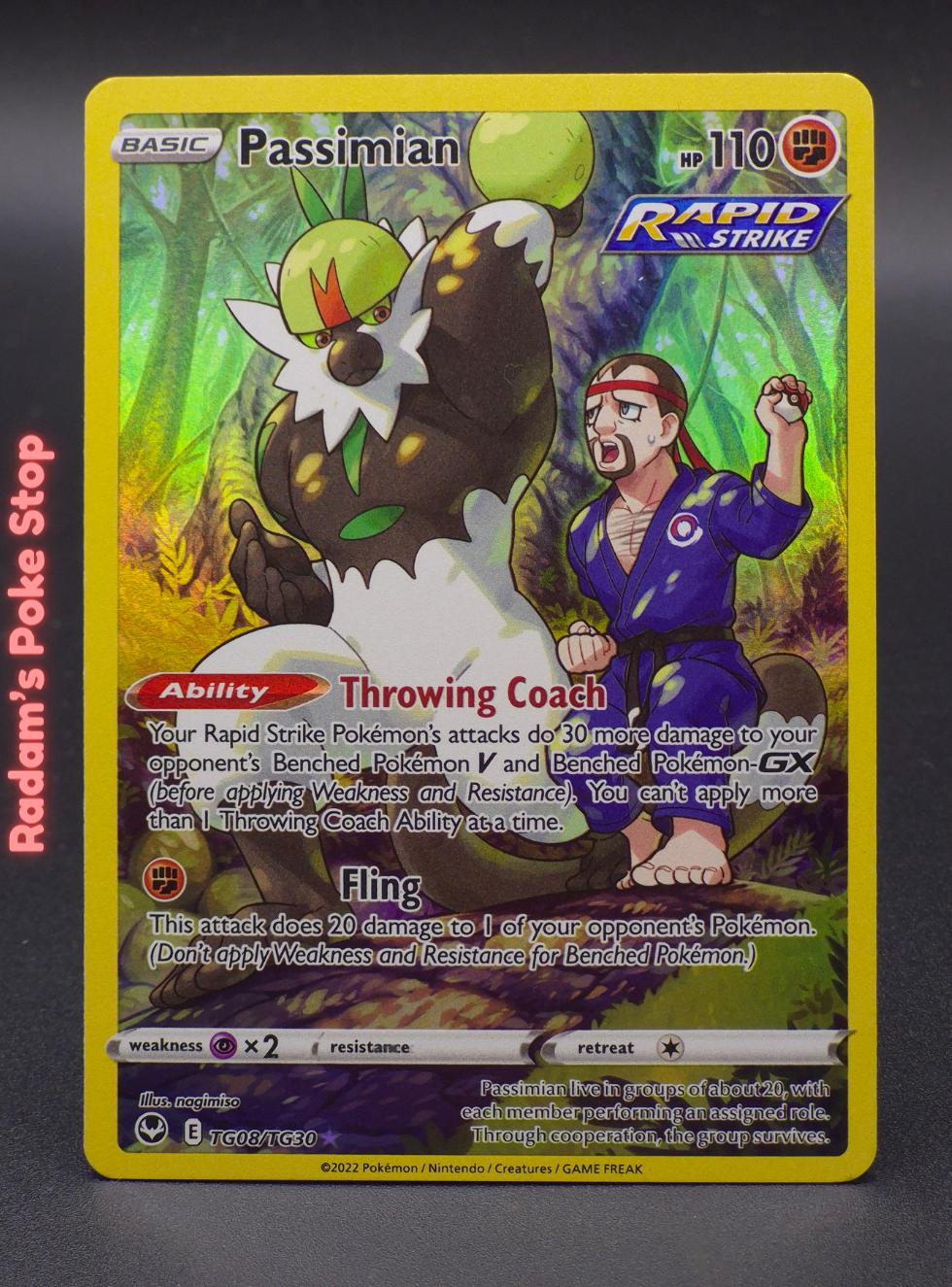 Passimian TG08/TG30 Silver Tempest, Trainer Gallery Rare presented by Pokémon TCG. 
