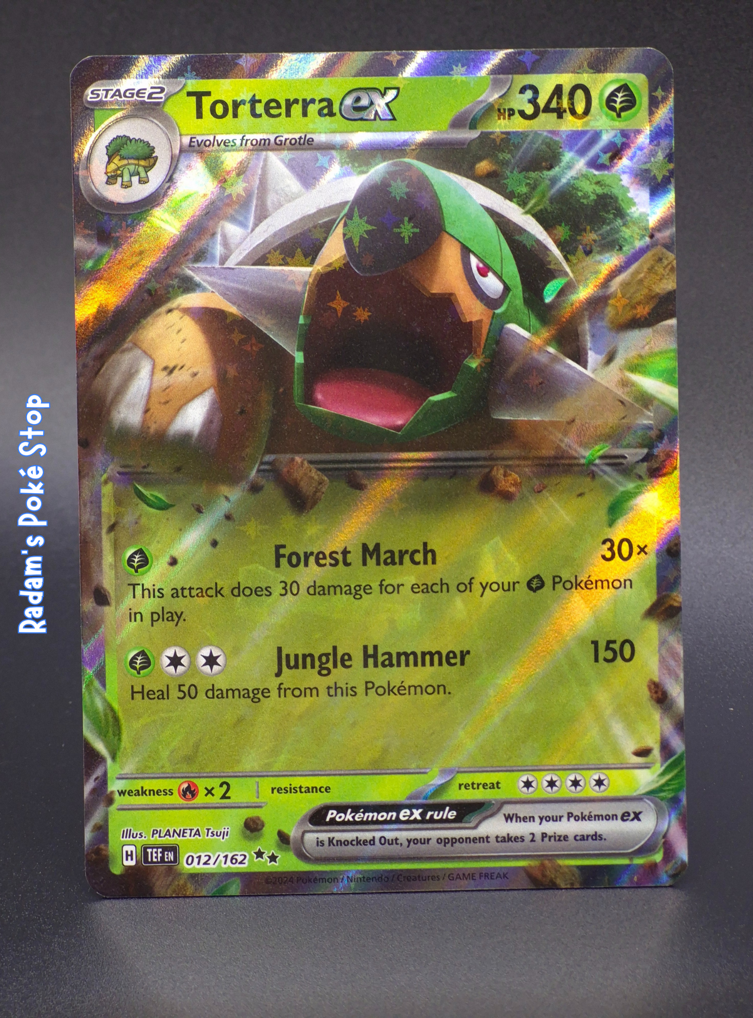 Torterra ex #12 Temporal Forces