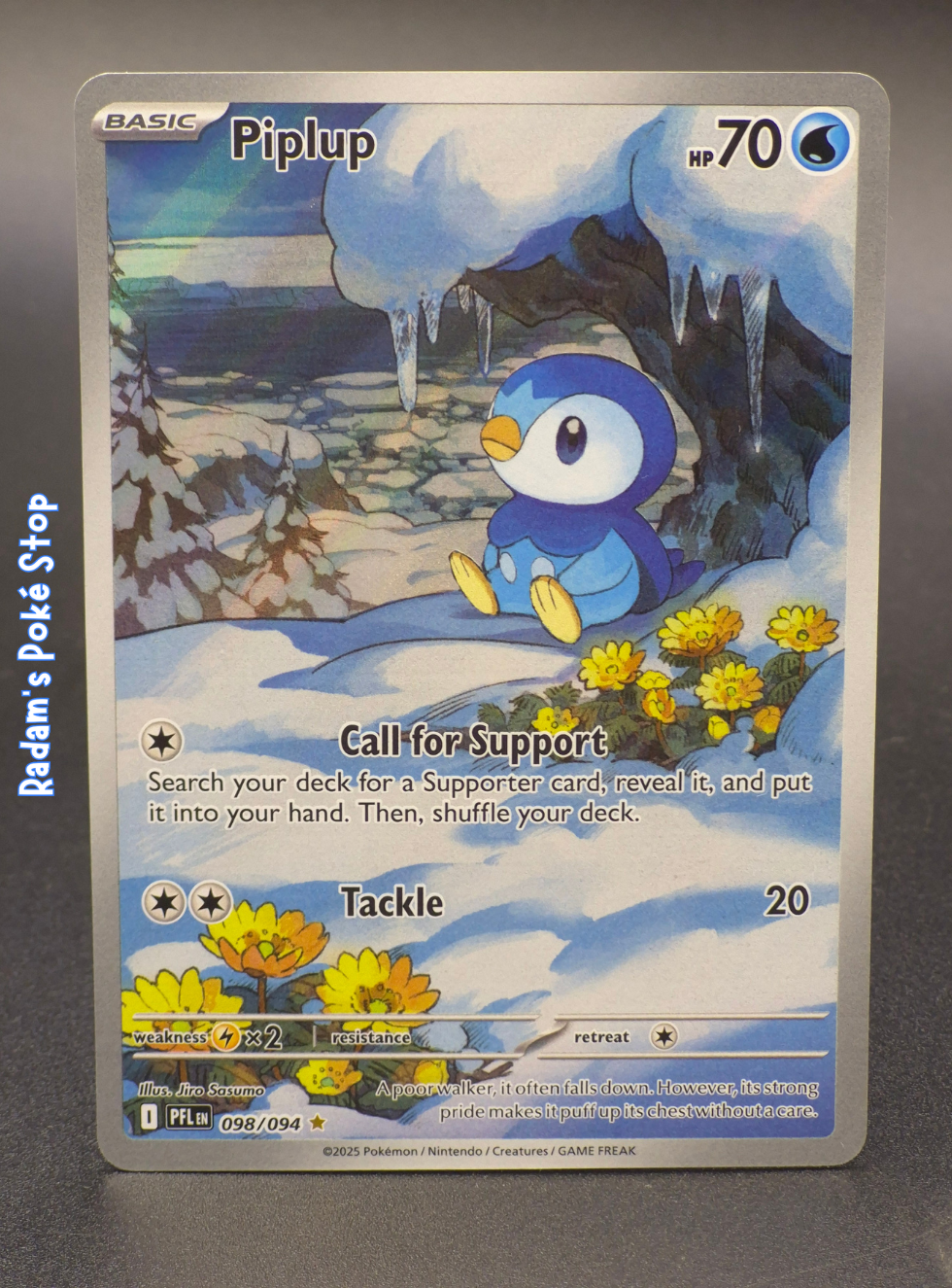 PFL 098_094 piplup.png