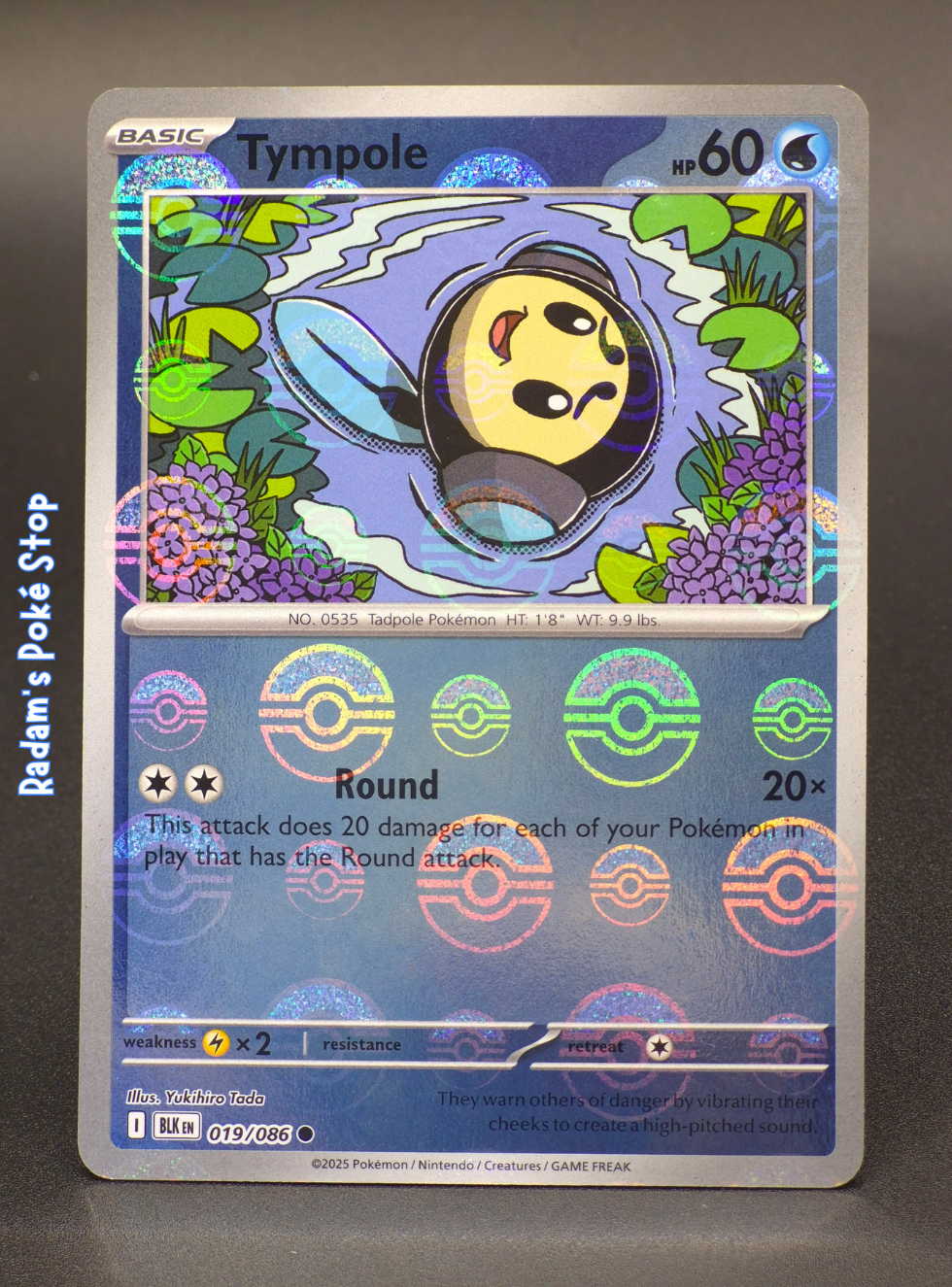 BLK 019_086 tympole poke ball.png