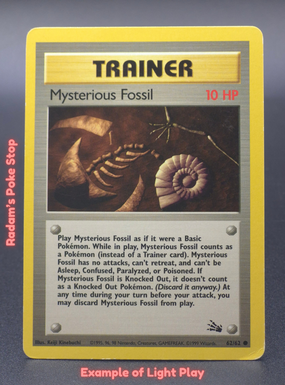 LP Mysterious Fossil.png