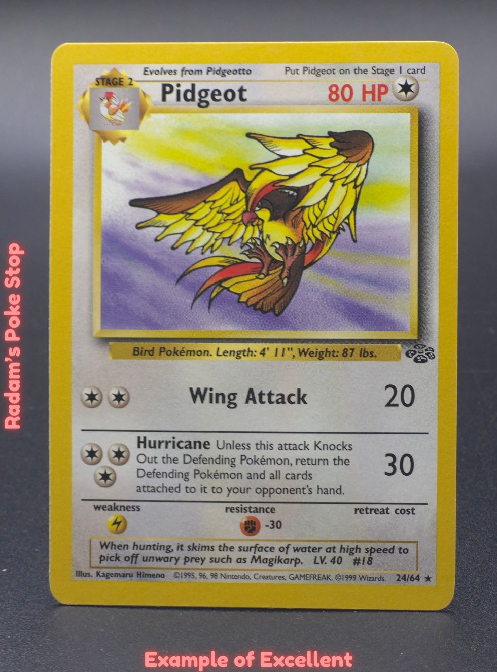 EX Pidgeot.png