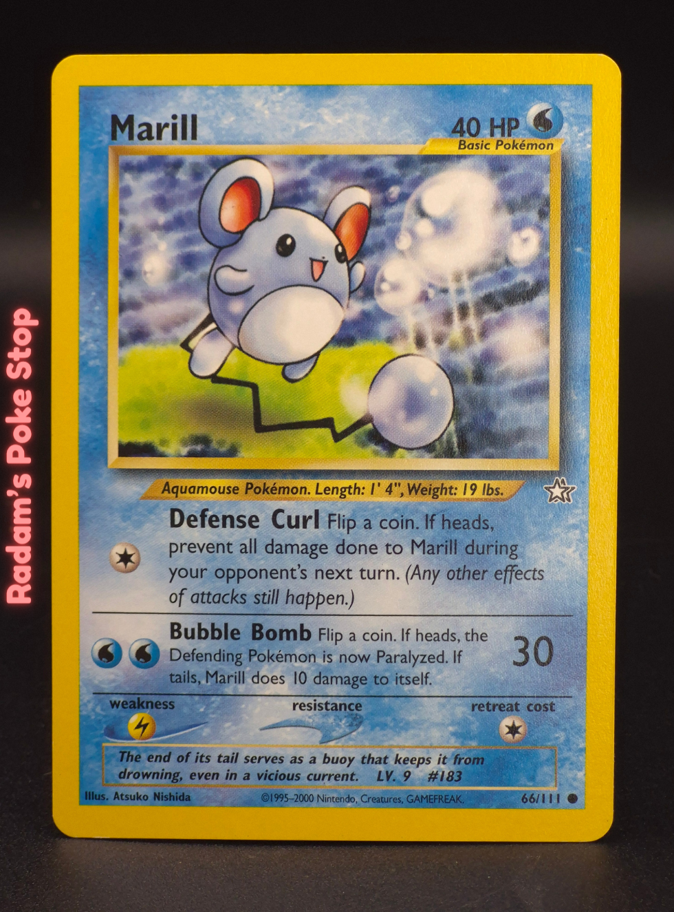 neo g 66_111 marill (5).png