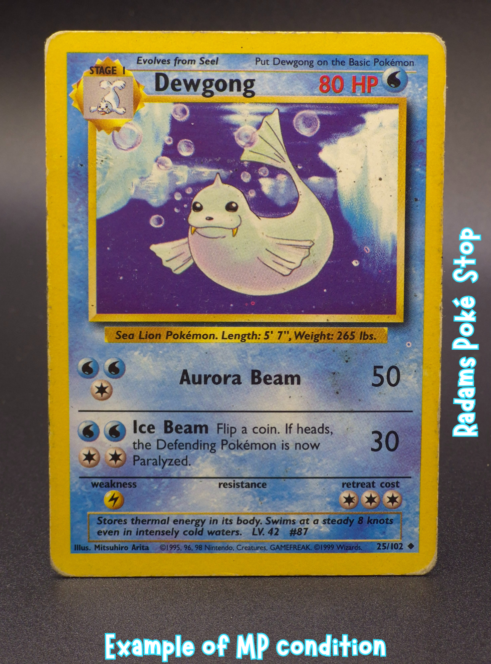 Base MP Dewgong 25_102.png