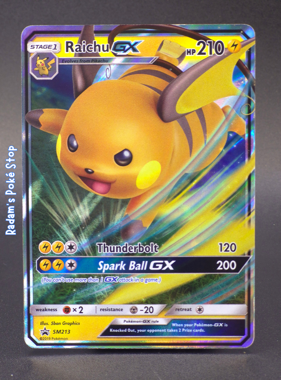 SM 213 raichu gx.png