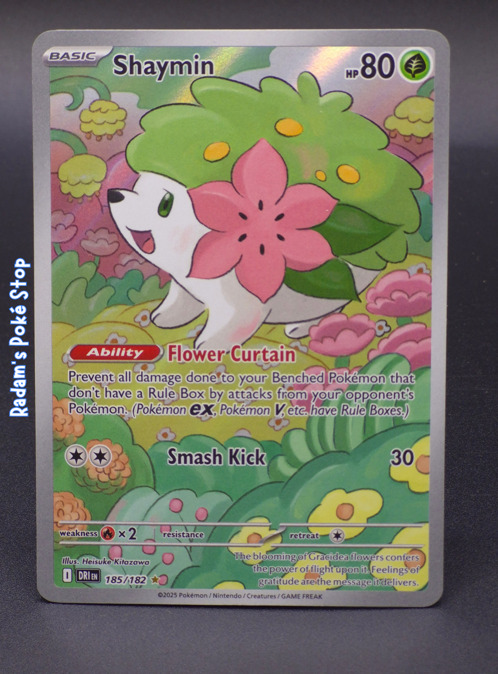 dri 185_182 ir shaymin.png