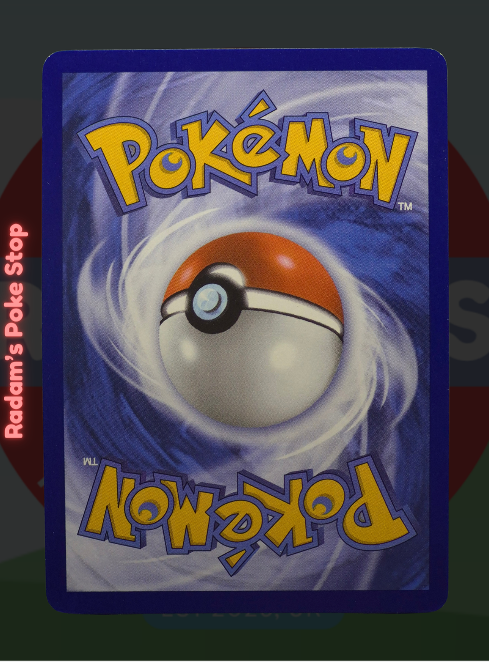 Pikachu 29_30 (3).png
