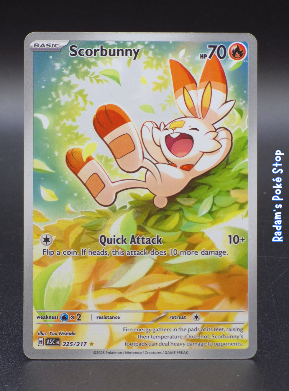 asc 225_217 scorbunny.png