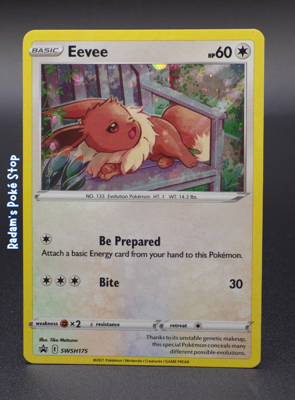Eevee #SWSH175 Promo