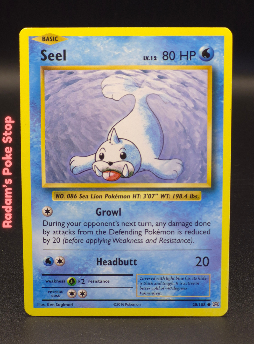 xy evo 28_108 seel.png