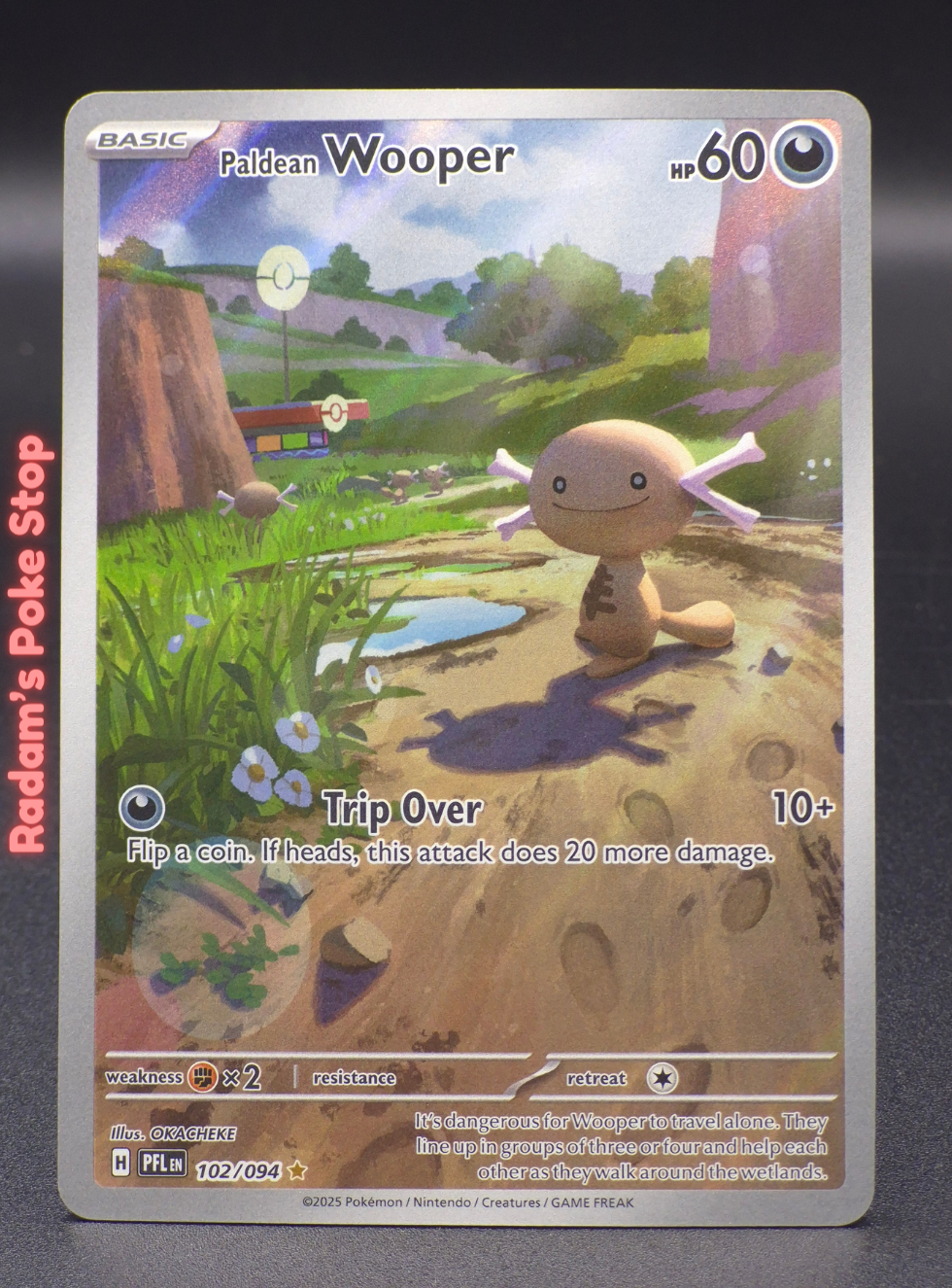 pfl 102_094 paldean wooper.png