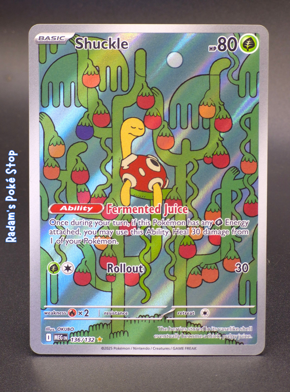 meg 136_132 shuckle.png