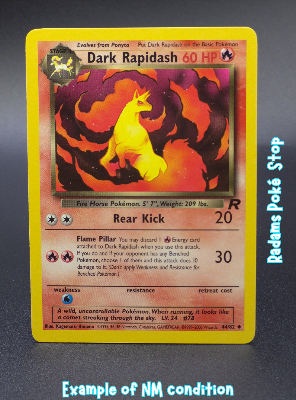 TR NM Dark Rapidash 44_82.png