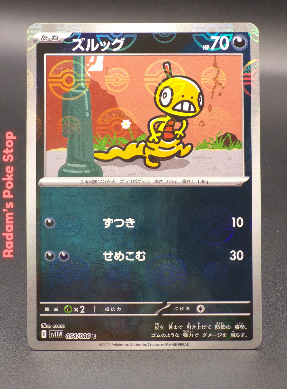 sv11w 054_086.png