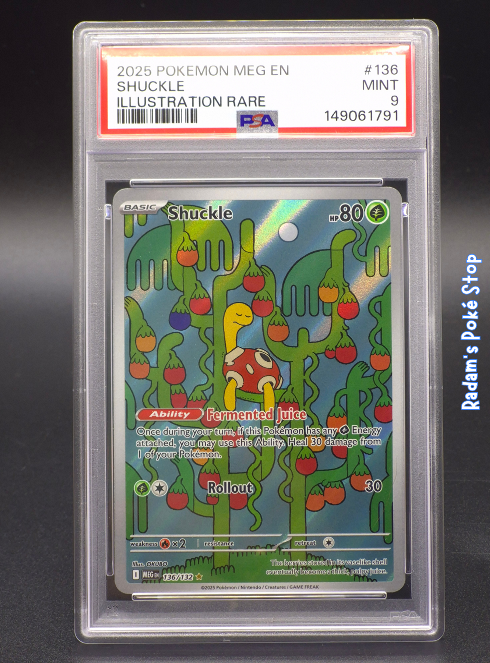 Meg 136_132 shuckle psa 9.png