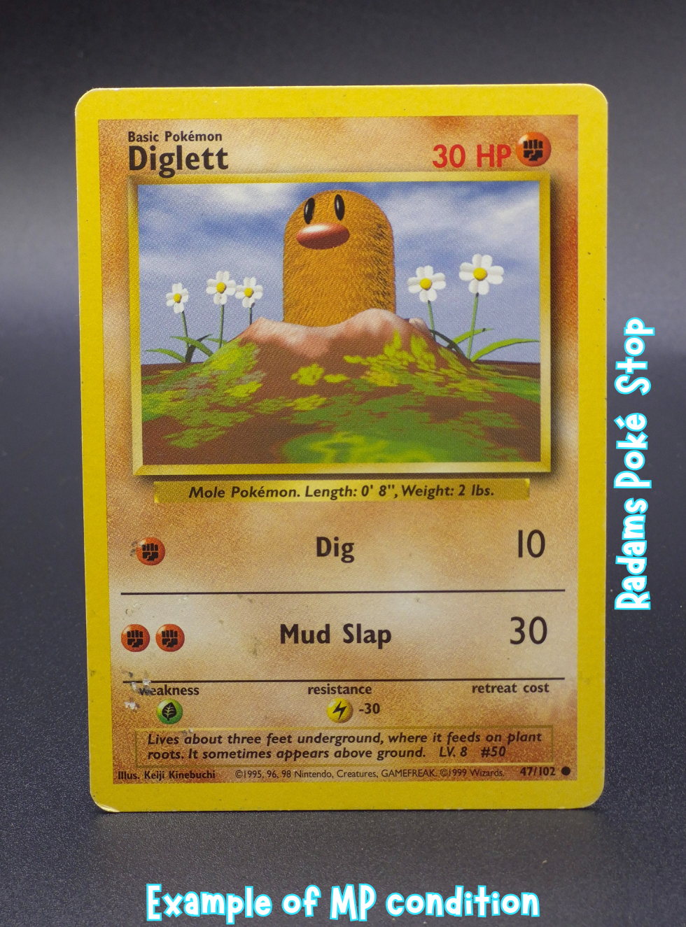Base MP Diglett 47_102.png