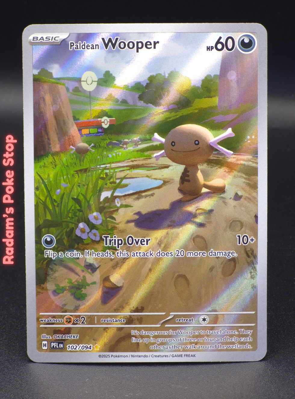 IR pfl 102_094 paldean wooper (3).png