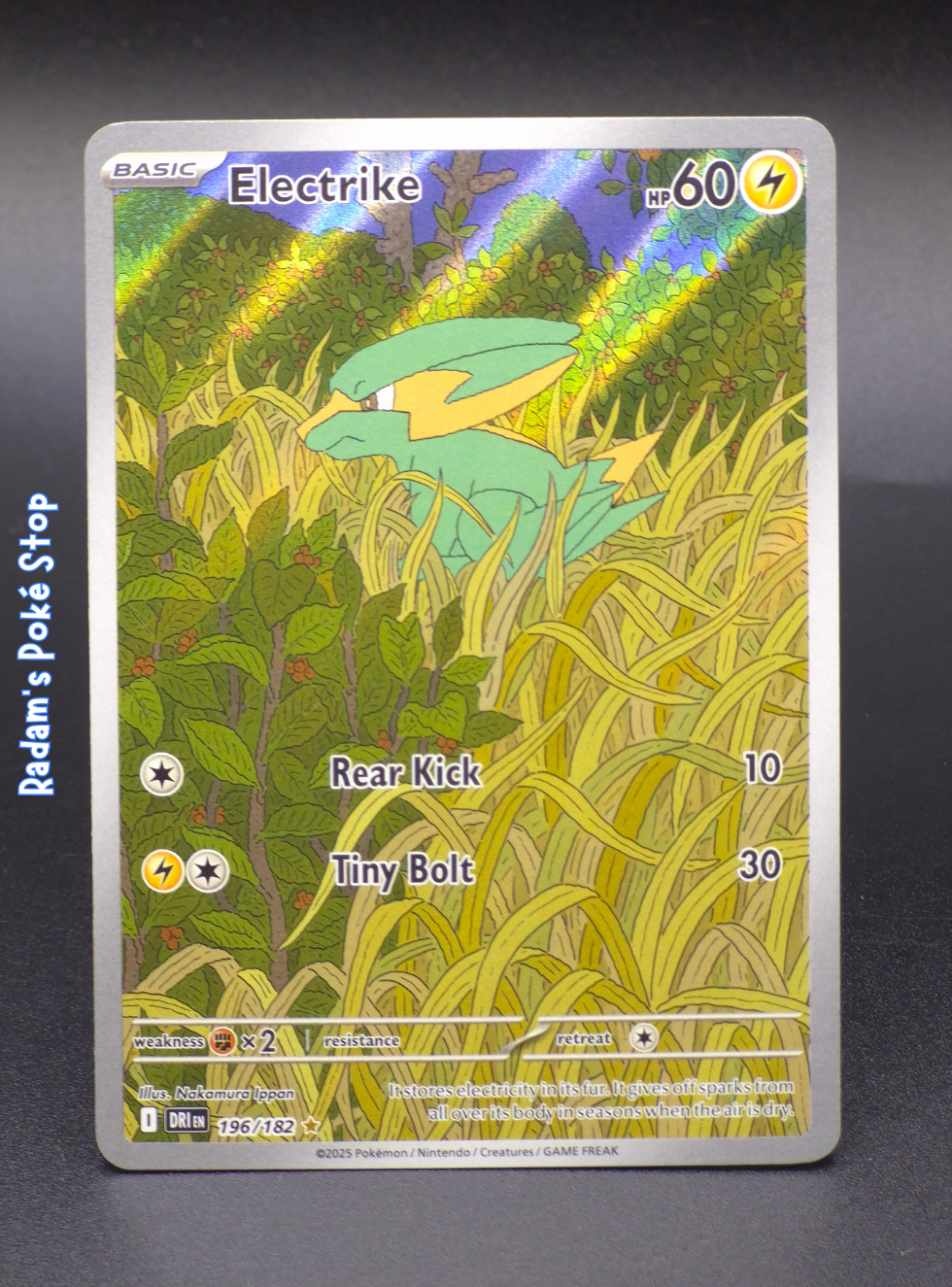 DRI 196_182 electrike.png