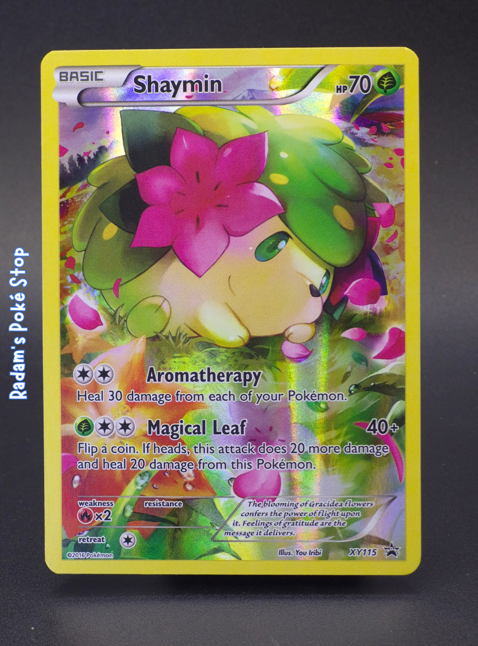 XY115 shyamin.png