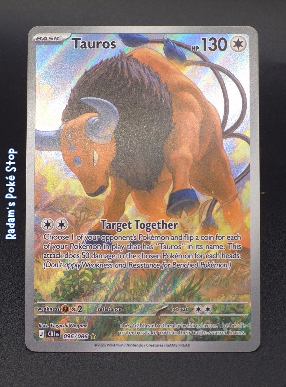 CRI 096_086 Tauros IR.png