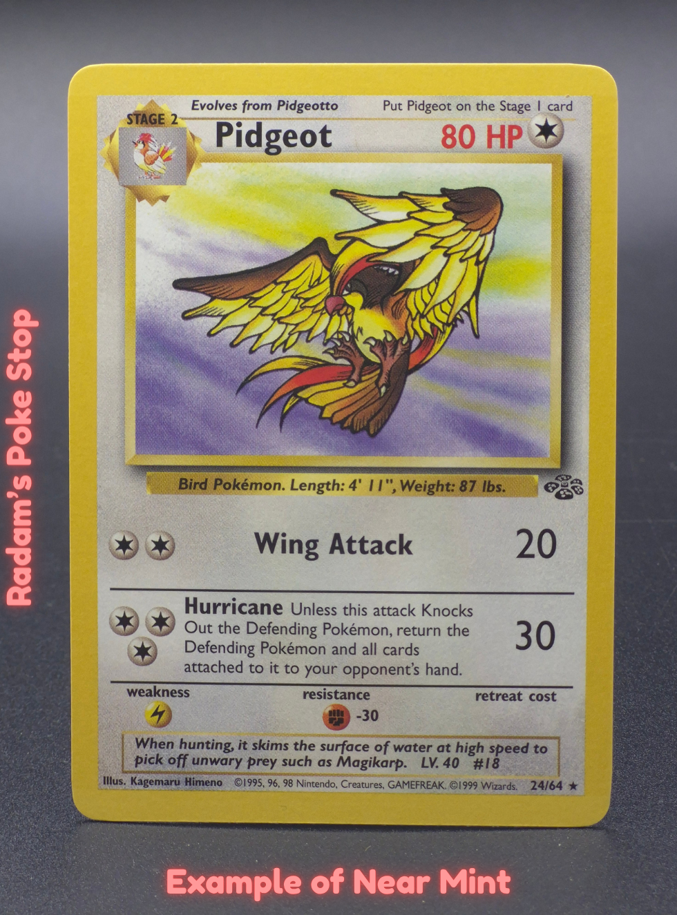 NM Pidgeot.png