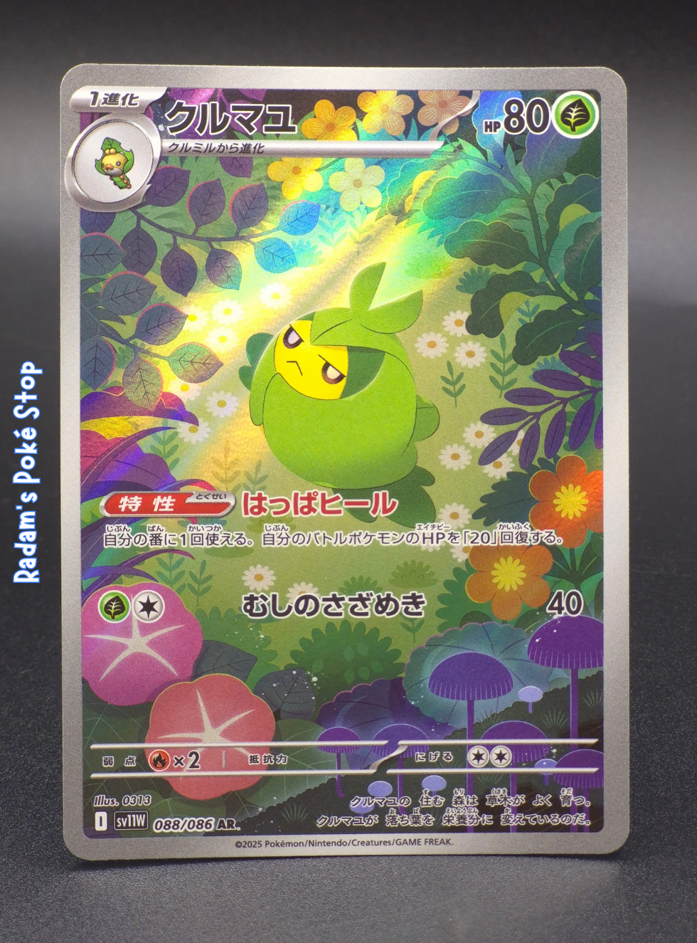 sv11w 088_086 sewaddle.png