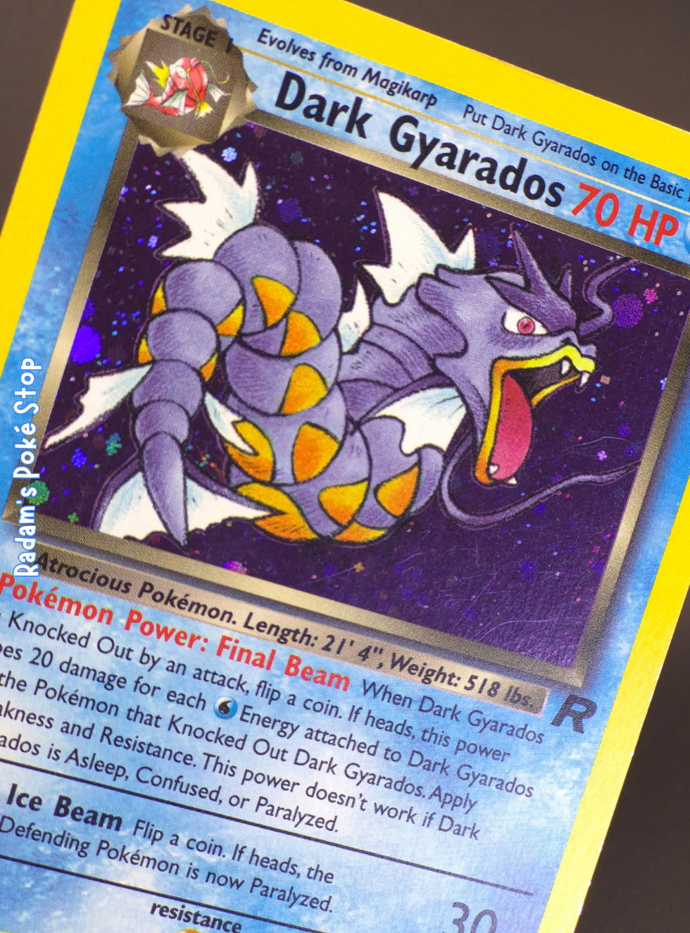 Rocket 8_82 Dark Gyarados (2).png