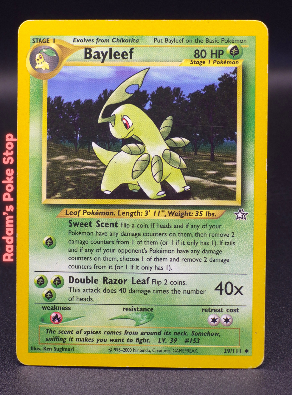 neo g 29_111 bayleef.png