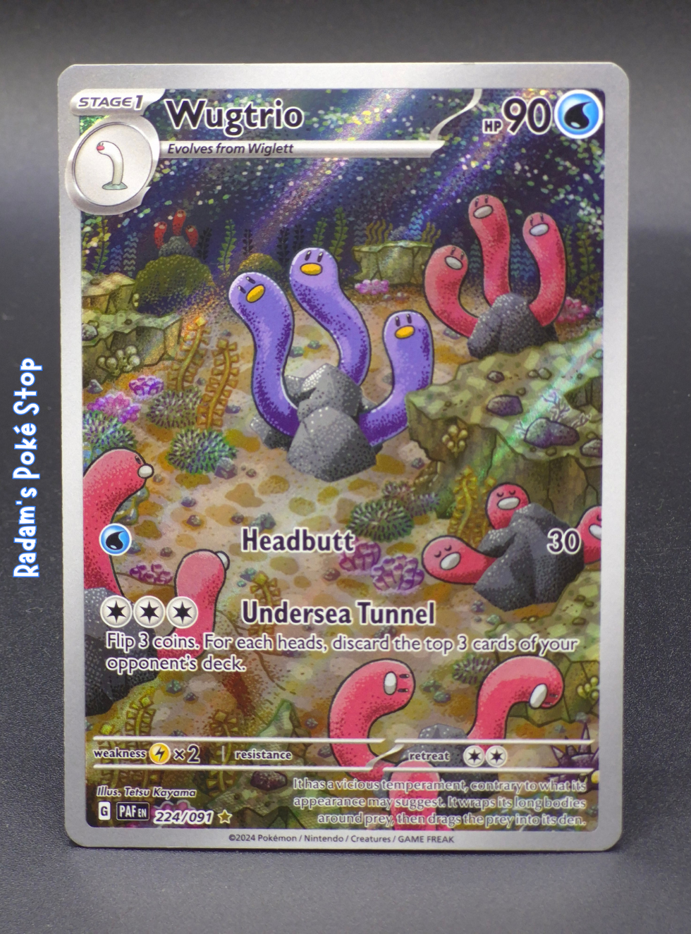 paf 224_091 ir wugtrio.png