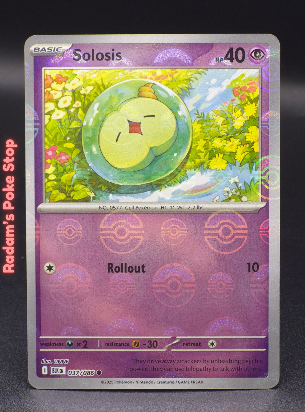 PB blk 037_086 solosis.png