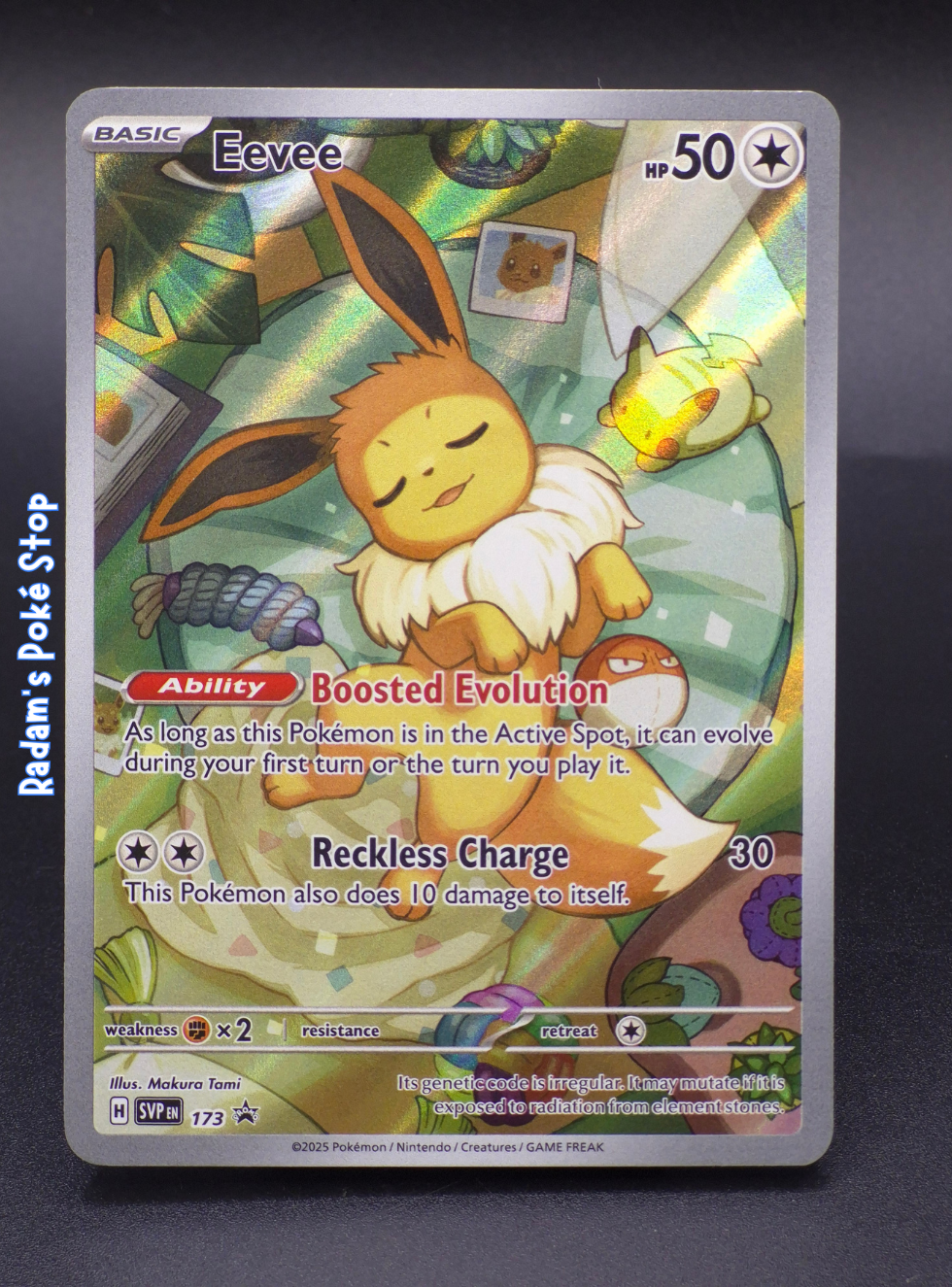 SVP 173 eevee.png