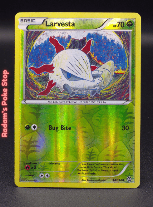 Larvesta Reverse Holo #14 XY Steam Siege