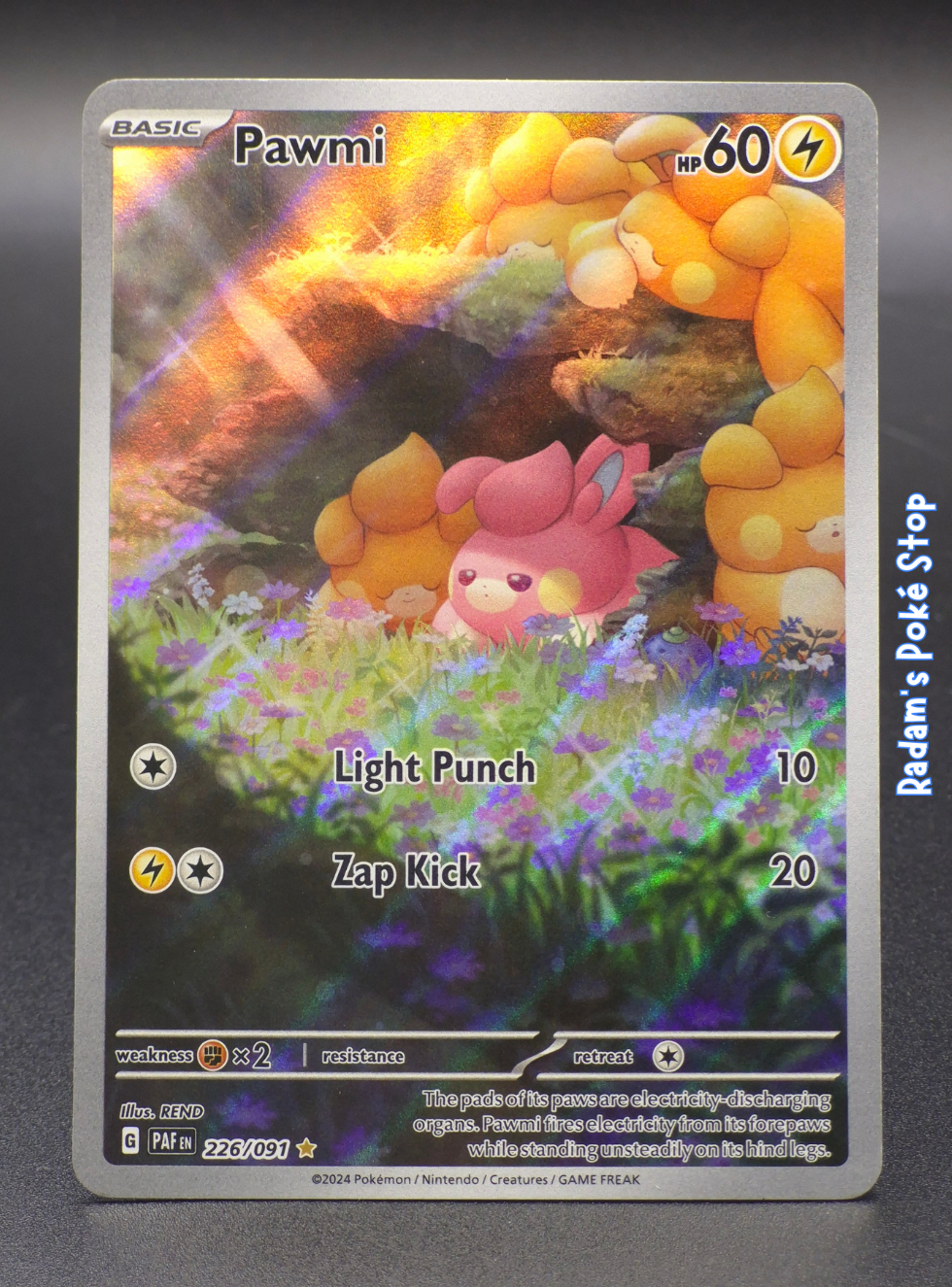 paf 226_091 pawmi (3).png