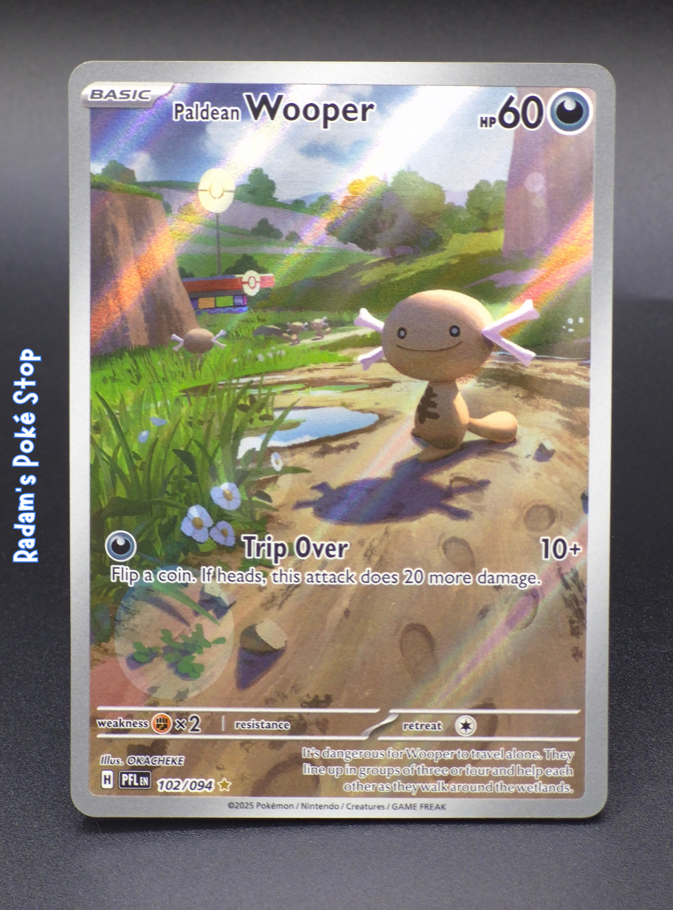PFL 102_094 Paldean Wooper (3).png