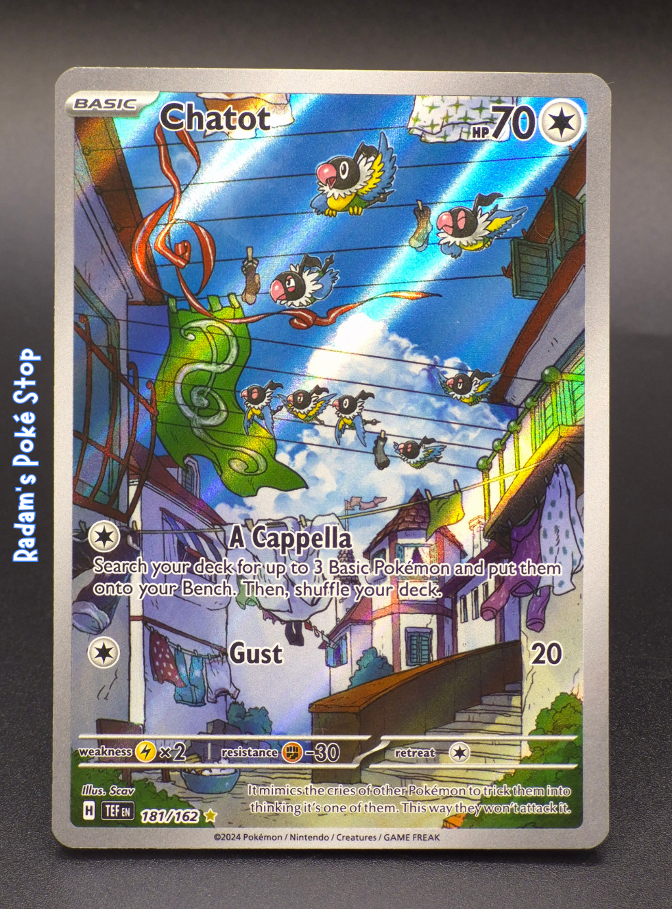 TEF 181_162 Chatot.png