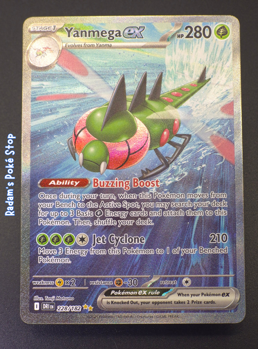 DRI 228_182 yanmega ex (2).png
