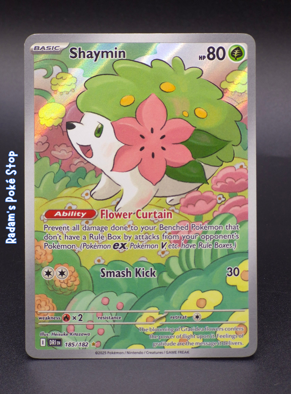 DRI 185_182 shaymin (3).png