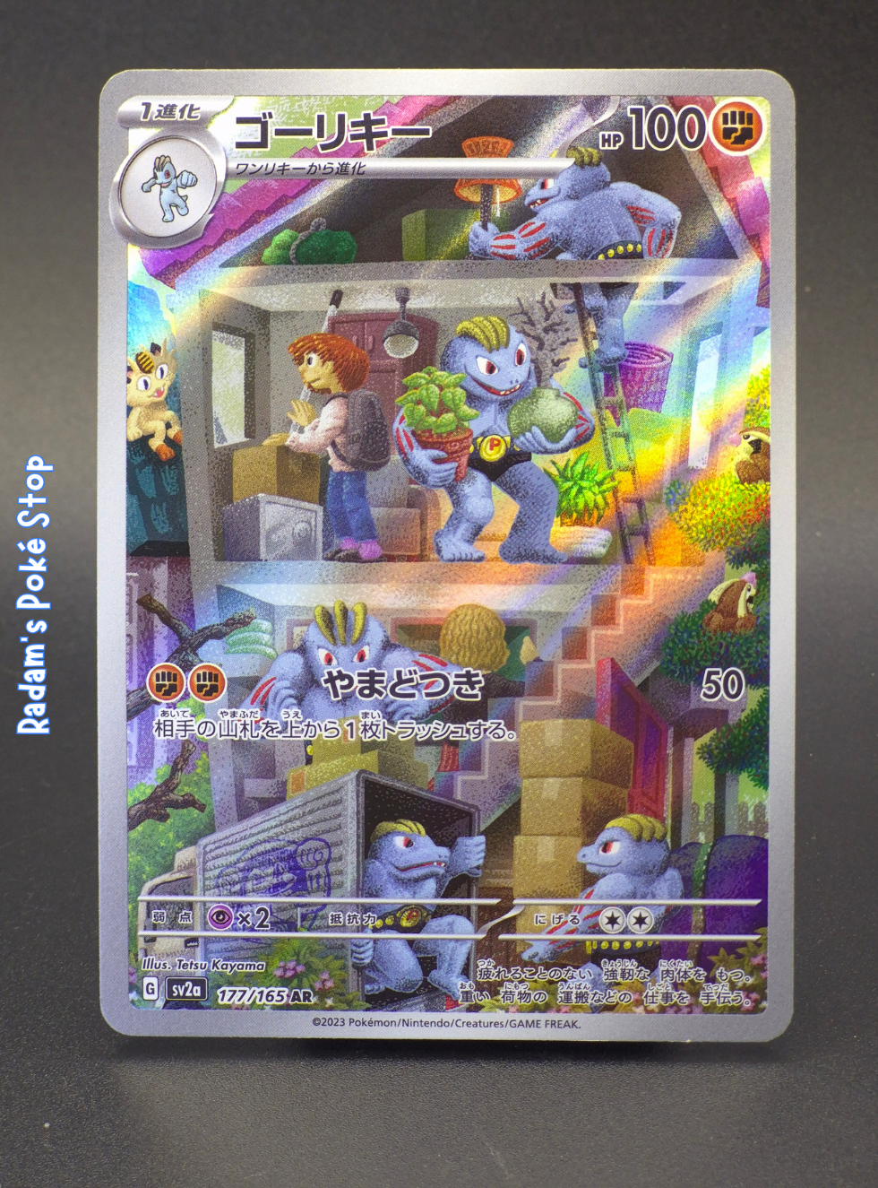 sv2a 177_165 machoke.png