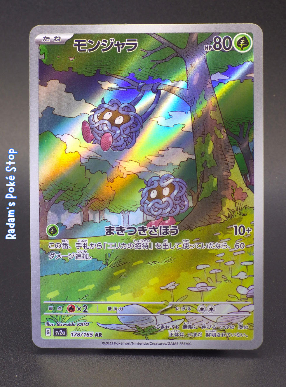 sv2a 178_165 tangela.png