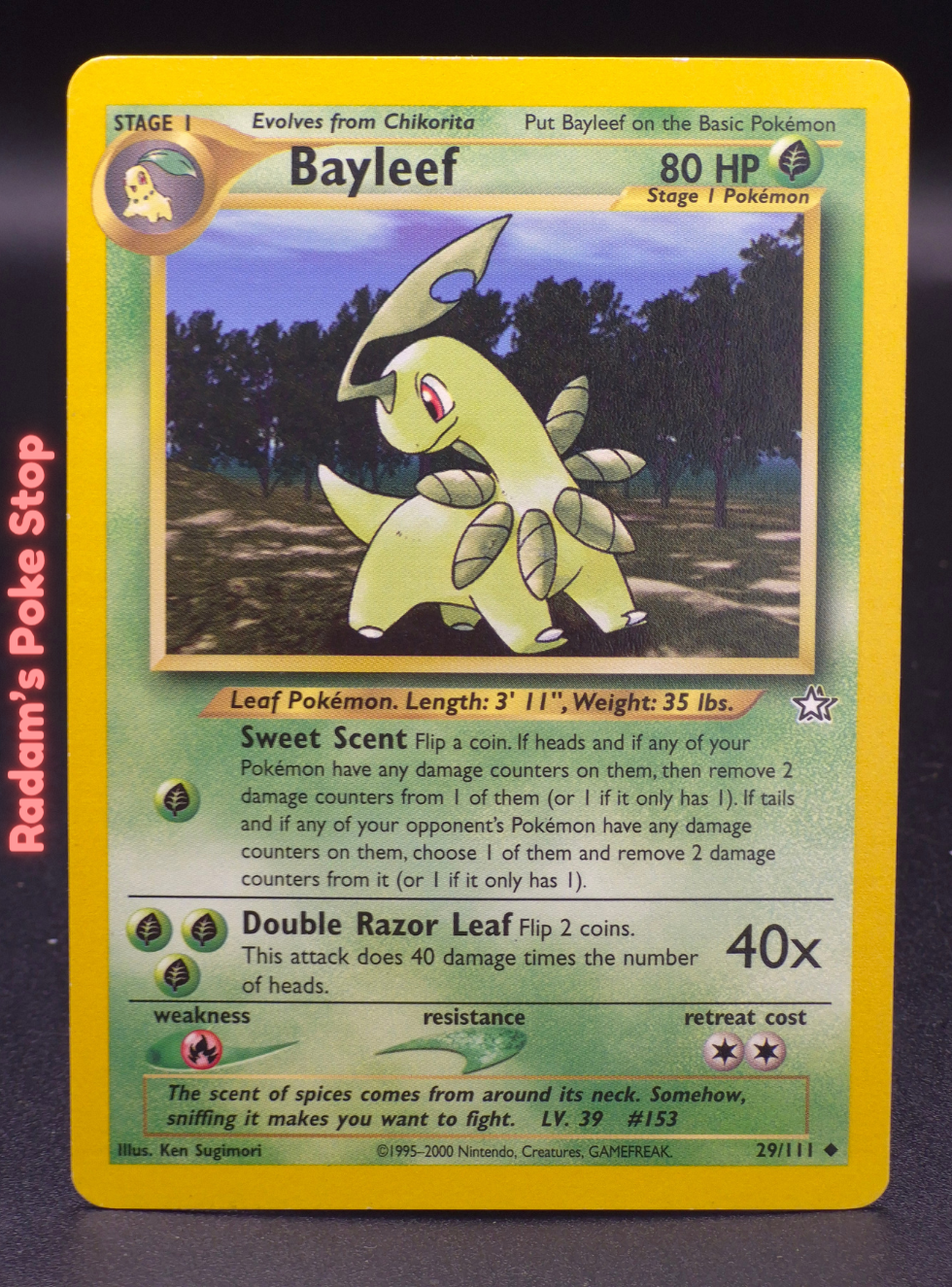 neo g 29_111 bayleef.png