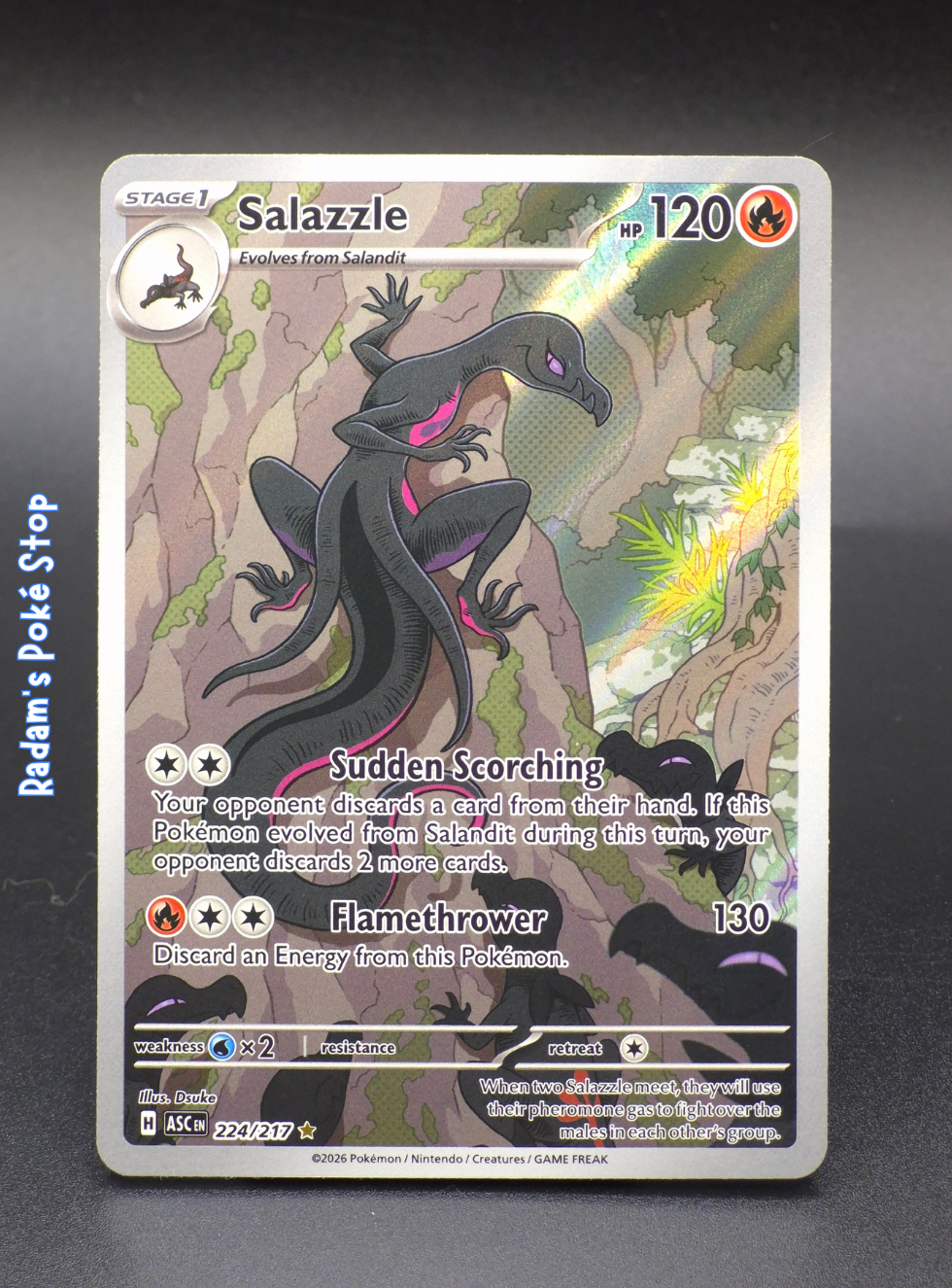 ASC 223_217 Salazzle.png