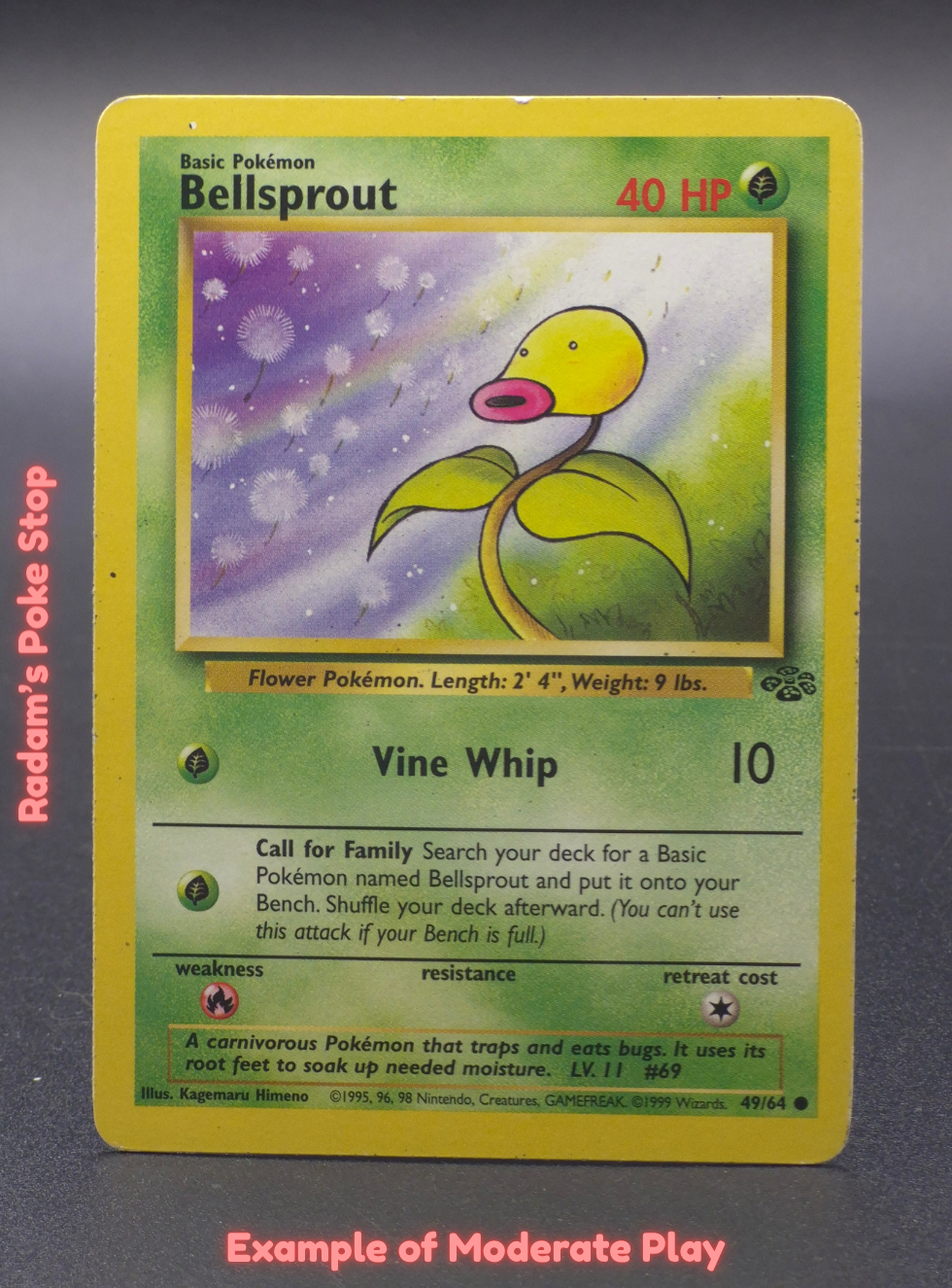 MP Bellsprout.png