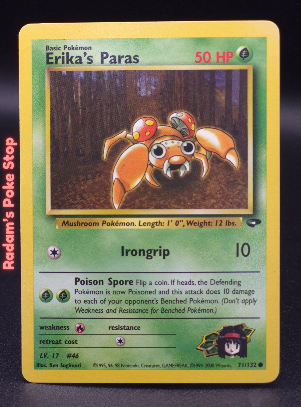 GC 71_132 erika's paras.png