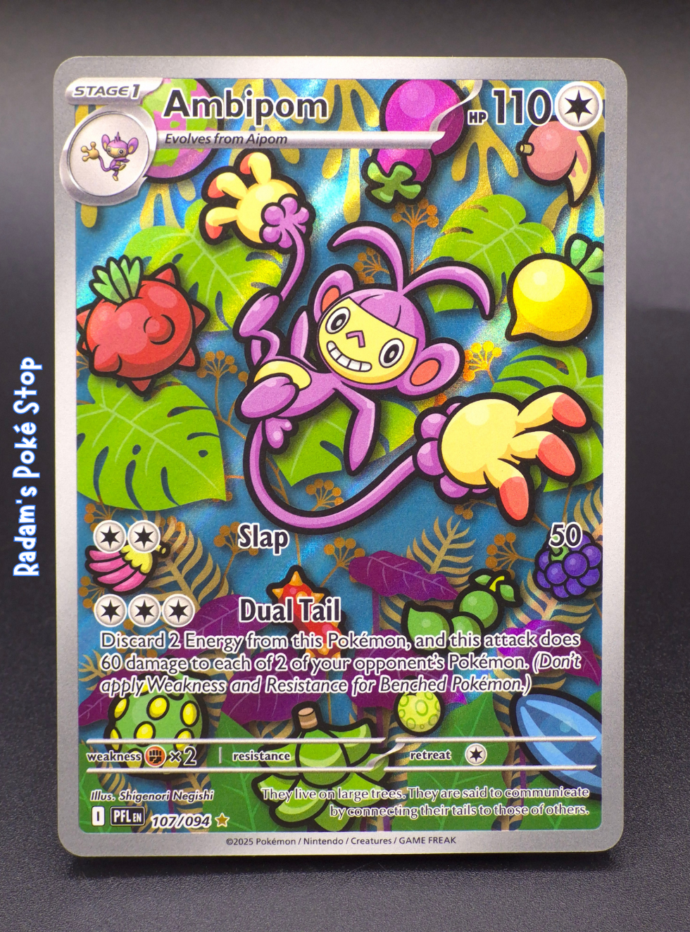 PFL 102_094 ambipom (5).png