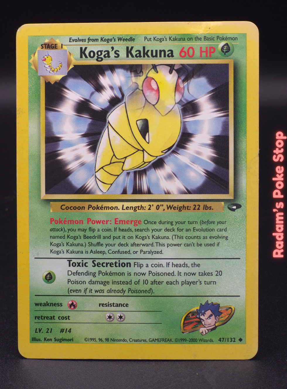 GC 47_132 koga's kakuna.png