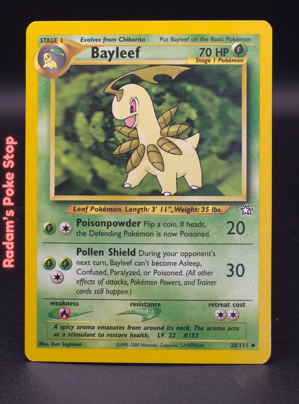 neo g 28_111 bayleef.png